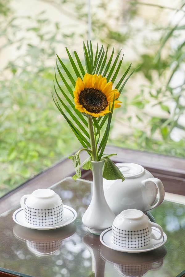 Golden Soulmate Homestay Hoi An Exteriér fotografie