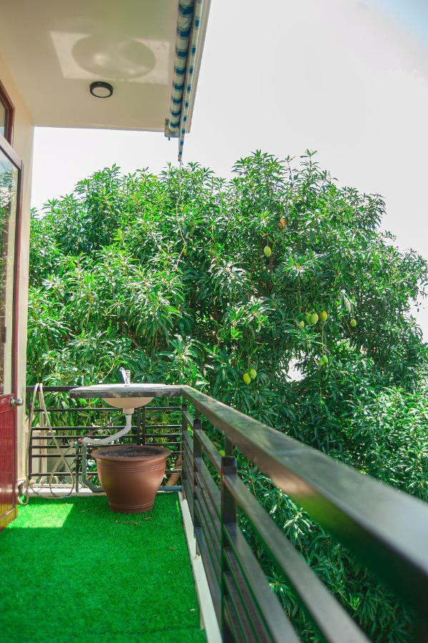 Golden Soulmate Homestay Hoi An Exteriér fotografie